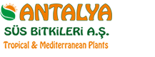 ANTALYA SÜS BİTKİLERİ A.Ş.
