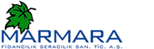 MARMARA FİDANCILIK SERACILIK SAN. TİC. A.Ş.