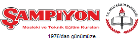 Şampiyon Mesleki ve Teknik Eğitim Kurumları