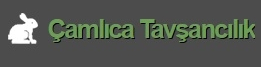 Çamlıca Tavşancılık