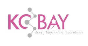 Kobay DHL A.Ş.