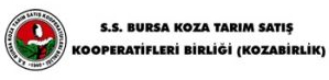 Kozabirlik