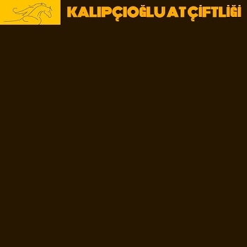 Kalıpçıoğlu 