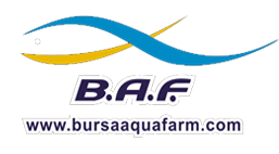 BURSA AQUA FARM