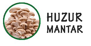 Huzur Mantar