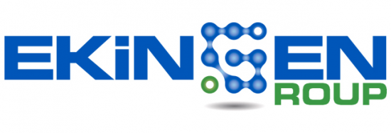 EKINGEN ELEKTRONIK